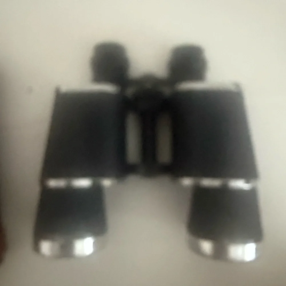 Vintage binoculars with case